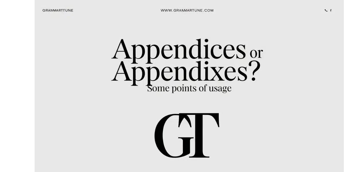 Appendices or Appendixes? Some Points of Usage