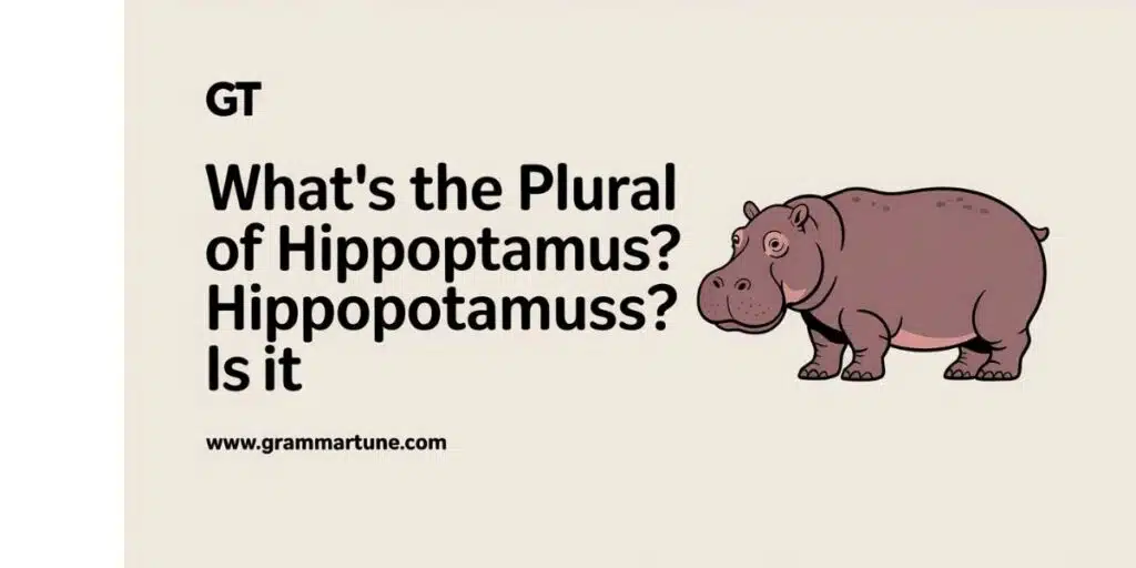 What’s the Plural of Hippopotamus? Is it Hippopotamuses?