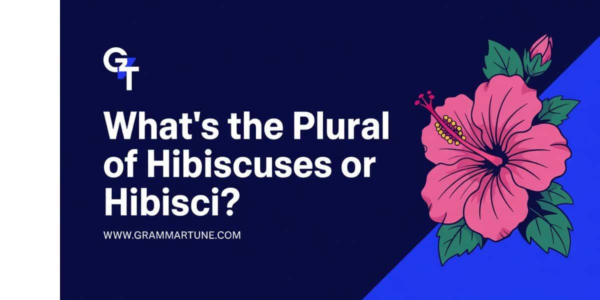What’s the Plural of Hibiscus? Is it Hibiscuses or Hibisci?
