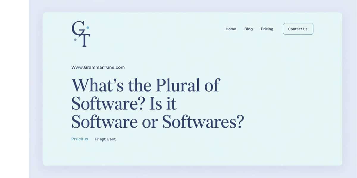 What’s the Plural of Software? Is it Software or Softwares?