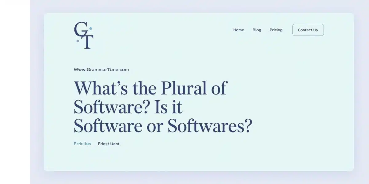 What’s the Plural of Software? Is it Software or Softwares?