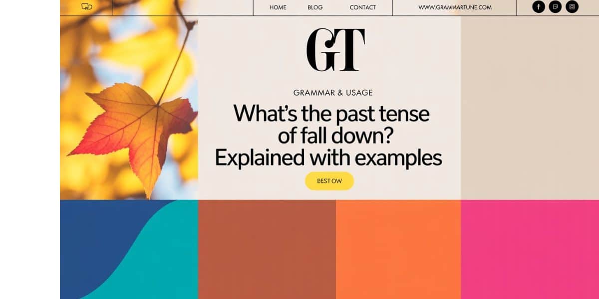 What’s the past tense of fall down? Expalined with Examples