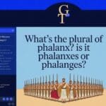 What’s the Plural of Phalanx? Is it Phalanxes or Phalanges?