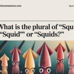What is the Plural of ‘Squid’? ‘Squid’ or ‘Squids’?