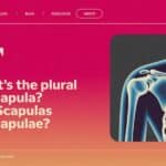 What’s the Plural of Scapula? Is it Scapulas or Scapulae?