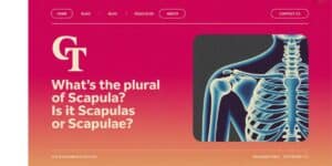 What’s the Plural of Scapula? Is it Scapulas or Scapulae?