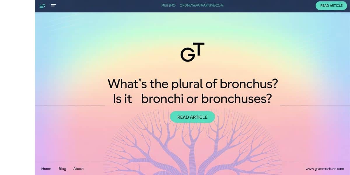 What’s the Plural of Bronchus? Is it Bronchi or Bronchuses?