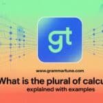 What is the Plural of Calculus? Explained with Examples