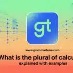 What is the Plural of Calculus? Explained with Examples