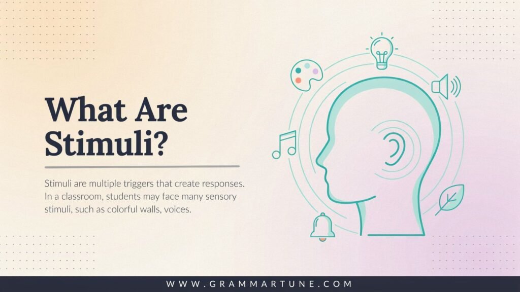 What Are Stimuli?