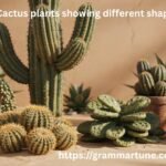 What Is the Plural of “Cactus”? Cactuses or Cacti?