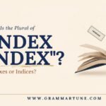What Is the Plural of “Index”? Indexes or Indices?